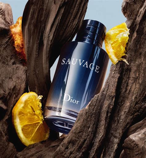 dior savage edt|dior sauvage edt fragrantica.